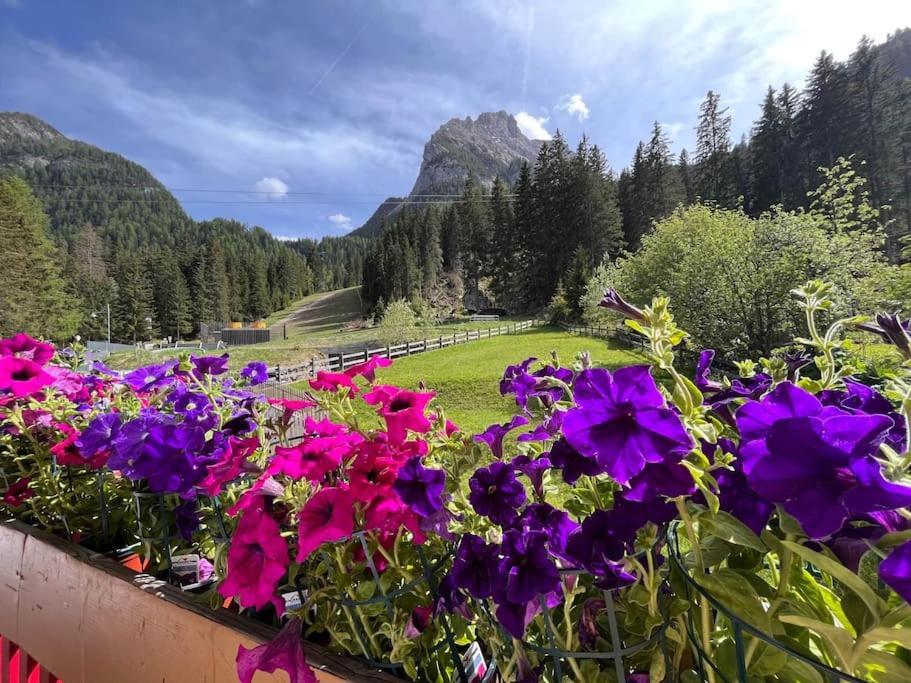 דירות אלבה די קאנזיי Sellaronda - Ciampac Experience מראה חיצוני תמונה